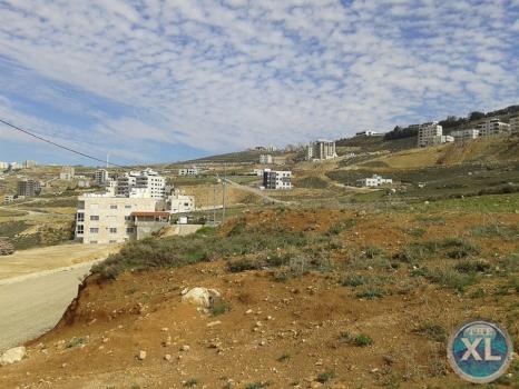 ارض للبيع في صافوط/ مرج البير - تحت قصر الاميرة بسمة منطقة هادئة و مطلة