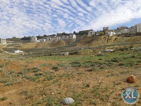 ارض للبيع في صافوط/ مرج البير - تحت قصر الاميرة بسمة منطقة هادئة و مطلة