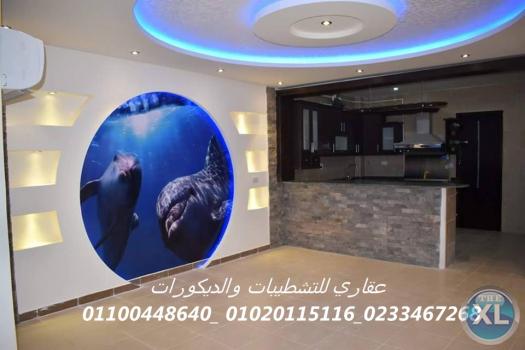 شركه تشطيبات ديكورات ( شركه عقاري للتنميه واداره المشروعات) 01020115116