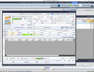 برنامج رؤية للمخازن والحسابات العامة