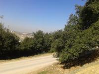 ارض للبيع في صويلح / سلطاني السلط - منطقة فلل