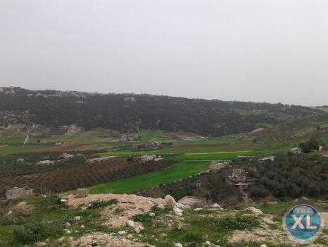 ارض تبعد 1.6 كم عن إشارة السرو - منطقة هادئة و مطلّة