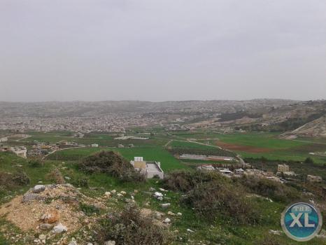 ارض تبعد 1.6 كم عن إشارة السرو - منطقة هادئة و مطلّة