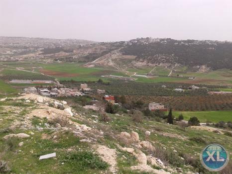 ارض تبعد 1.6 كم عن إشارة السرو - منطقة هادئة و مطلّة