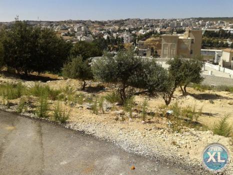 ارض للبيع في صويلح - عرقوب خلدا/ منطقة فلل هادئة و مطلة