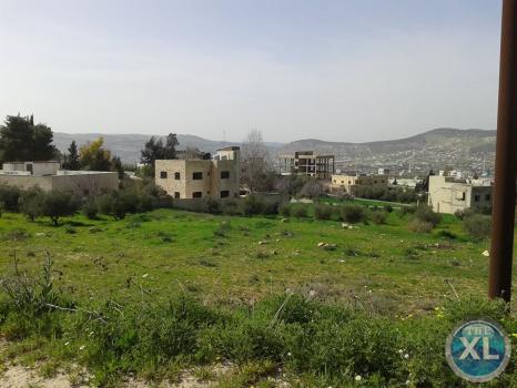 ارض للبيع في قرية ابو نصير منطقة هادئة و مطلّة