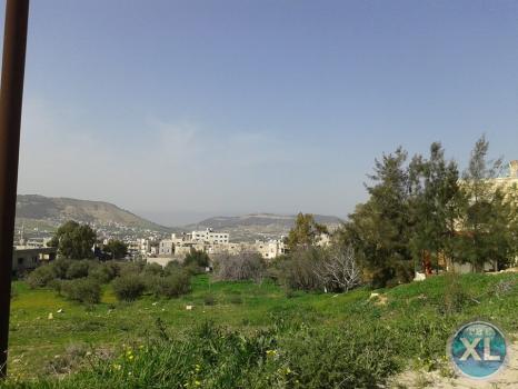 ارض للبيع في قرية ابو نصير منطقة هادئة و مطلّة