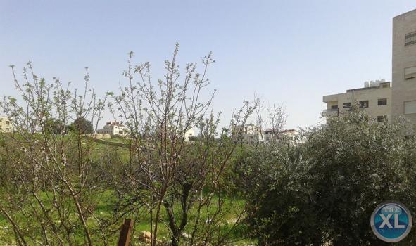 ارض للبيع في شفا بدران - قرب المؤسسة العامّة للغذاء و الدواء