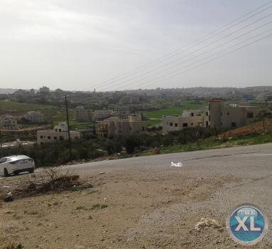 ارض للبيع في شفا بدران - مرج الاجرب