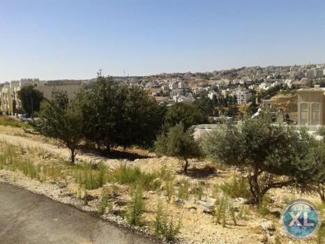 ارض للبيع في صويلح - عرقوب خلدا/ منطقة فلل هادئة و مطلة