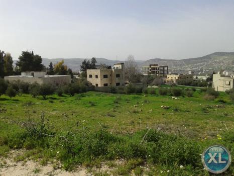 ارض للبيع في قرية ابو نصير منطقة هادئة و مطلة