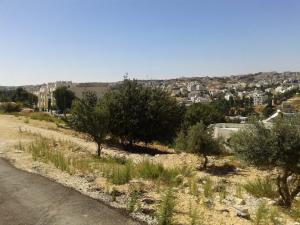 ارض للبيع في صويلح - عرقوب خلدا/ منطقة فلل هادئة و مطلة