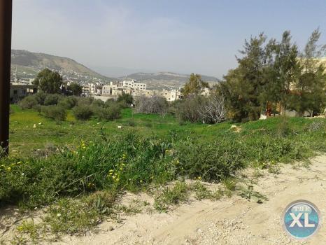 ارض للبيع في قرية ابو نصير منطقة هادئة و مطلة