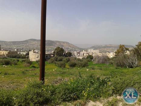 ارض للبيع في قرية ابو نصير منطقة هادئة و مطلة