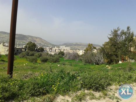ارض للبيع في قرية ابو نصير منطقة هادئة و مطلة