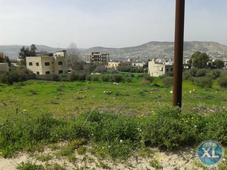 ارض للبيع في قرية ابو نصير منطقة هادئة و مطلة