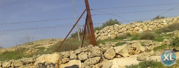 ارض للبيع في زينات الربوع تبعد كيلومتر واحد عن ترخيص عمان