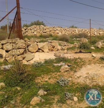 ارض للبيع في زينات الربوع تبعد كيلومتر واحد عن ترخيص شفا بدران