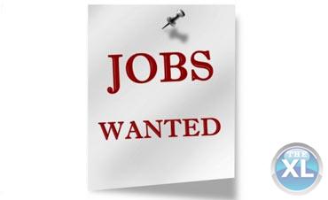 مطلوب للعمل بشركة رويال بالاسكندرية