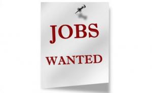 مطلوب للعمل بشركة رويال بالاسكندرية