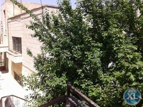 ارض للبيع في صويلح/ شارع الجامعة - خلف مفروشات شهوان