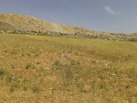 ارض للبيع في ماركا - تبعد 1.5 كم عن جامعة البلقاء التطبيق�