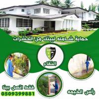 شركة مكافحة الحشرات رأس الخيمة | النقاء -٠٥٠٩٣٩٩٨٨١