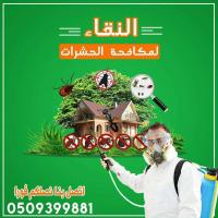اقوى شركة مكافحة حشرات رأس الخيمة | النقاء -0509399881