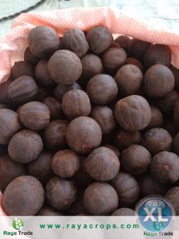 الليمون المجفف الأسود