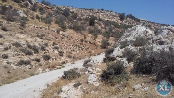 ارض للبيع في وادي السير/ منطقة ابو السوس - تبعد 850م عن طريق الصناعة