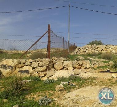 ارض للبيع في زينات الربوع - تبعد كيلومتر واحد عن شفا بدران