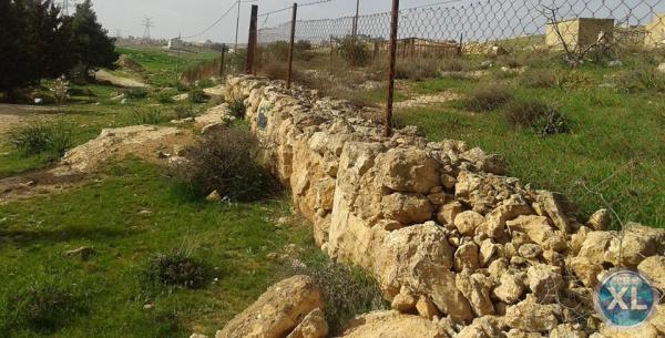 ارض للبيع في زينات الربوع - تبعد كيلومتر واحد عن شفا بدران