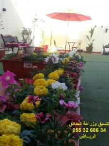 شركة تنسيق حدائق بالرياض 0553268634