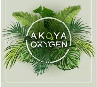 لعشاق الفخامة .. تملك فيلا في أضخم مشروع بدبي بأسعار ممي