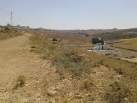 ارض للبيع في شفا بدران - تبعد 1.6كم عن شارع الأردن