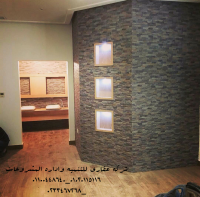 شركات تشطيبات (شركة عقاري للتنمية وأداره المشروعات 010201