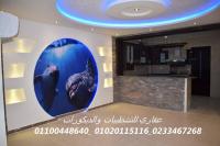 افضل شركه تشطيبات في المهندسين(شركه عقاري للتنميه وادا