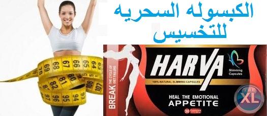 مع هارفا الالمانى هتخسى يعنى هتخسى