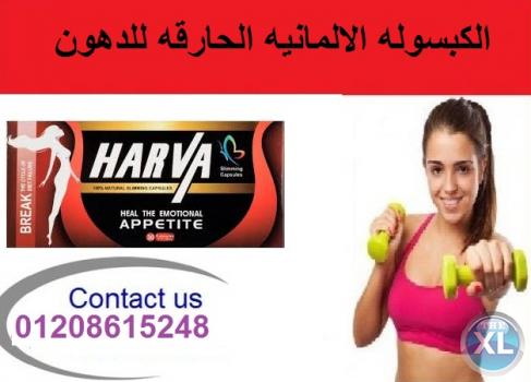 مع هارفا الالمانى هتخسى يعنى هتخسى