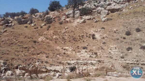 ارض للبيع في وادي السير/ منطقة ابو السوس - تبعد 850م عن طريق الصناعة