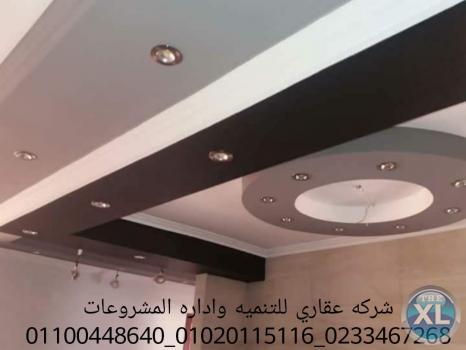 شركات تشطيبات  (شركه عقاري للتنميه واداره المشروعات)01020115116