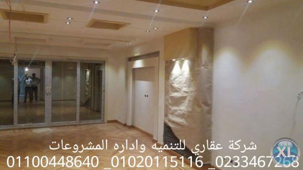 ديكور وتشطيب فلل في المهندسين  (شركه عقاري للتنميه واداره المشروعات)01020115116