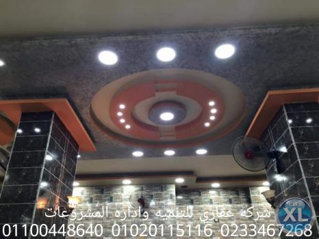 شركات تشطيبات (شركه عقاري للتنميه واداره المشروعات)01020115116