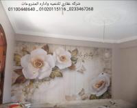 شركات ديكور وتشطيب (شركه عقاري للتنميه واداره المشروعا