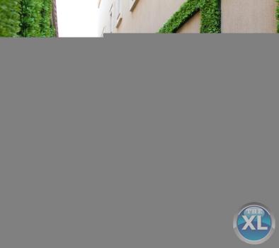 شركة عشب صناعي عشب جداري الرياض جدة الدمام 0553268634