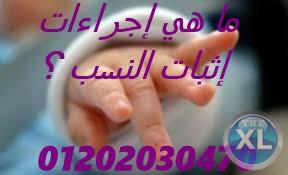 افضل محامي في القاهره والاسكندريه(كريم ابو اليزيد)01202030470