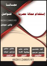 إستقدام عمالة مصرية بدون مقابل