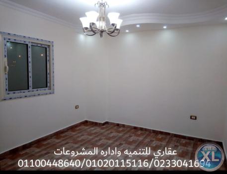تشطيبات وديكورات (عقاري 01100448640 -01020115116 )