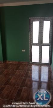 شركه ديكور وتشطيب ( شركه عقاري  01100448640 )