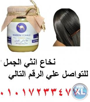 نخاع انثي الجمل افضل منتج لعلاج تلف وضعف الشعر